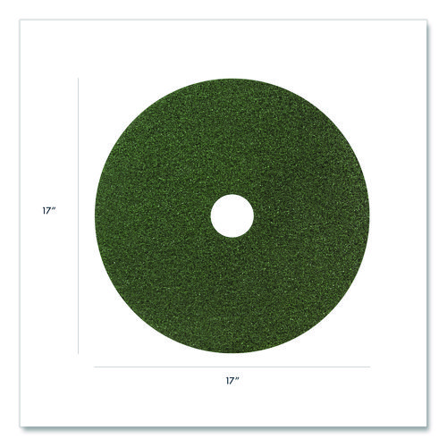 Picture of Black Diamond 3000 Grit Diamond Pad, 17" Diameter, Black/Green, 2/Carton