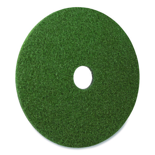 Picture of Black Diamond 3000 Grit Diamond Pad, 17" Diameter, Black/Green, 2/Carton