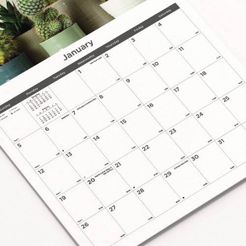 Picture of 12-Month Wall Calendar, Succulent Plants Photography, 12 x 17, White/Multicolor Sheets, 12-Month (Jan to Dec): 2025