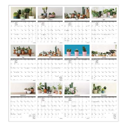 Picture of 12-Month Wall Calendar, Succulent Plants Photography, 12 x 17, White/Multicolor Sheets, 12-Month (Jan to Dec): 2025