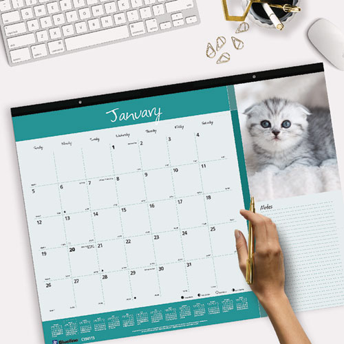 Picture of Pets Collection Monthly Desk Pad, Furry Kittens Photography, 22 x 17, White Sheets, Black Binding, 12-Month (Jan-Dec): 2025