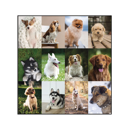 Picture of Pets Collection Monthly Desk Pad, Puppies Photography, 22 x 17, Black Binding, Clear Corners, 12-Month (Jan to Dec): 2025