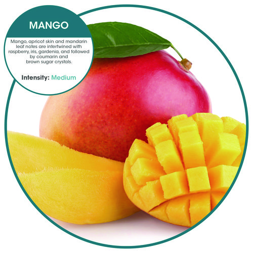 Picture of ourfresh Airfreshener, Mango, 8/Box