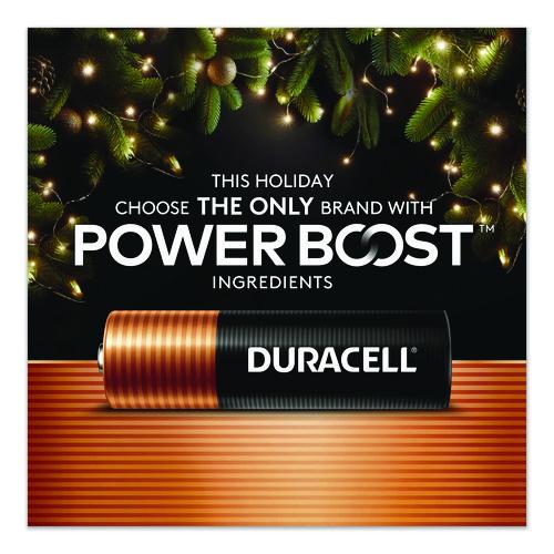 Picture of Power Boost CopperTop Alkaline AAA Batteries, 24/Box