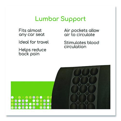 Picture of Back Support, 13.5 x 4 x 13.8, Black