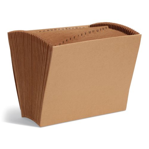 Indexed+Expanding+Kraft+Files%2C+31+Sections%2C+Elastic+Cord+Closure%2C+1%2F15-Cut+Tabs%2C+Letter+Size%2C+Kraft