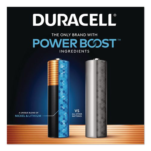Picture of Power Boost CopperTop Alkaline AAA Batteries, 24/Pack