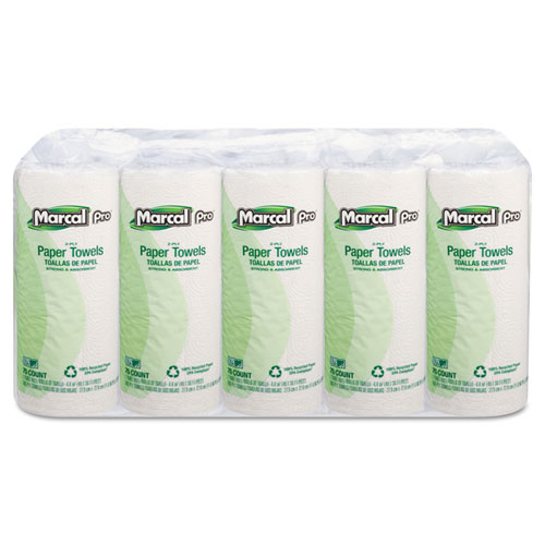 100%25+Premium+Recycled+Perforated+Kitchen+Roll+Towels%2C+2-Ply%2C+11+x+9%2C+White%2C+70%2FRoll%2C+15+Rolls%2FCarton