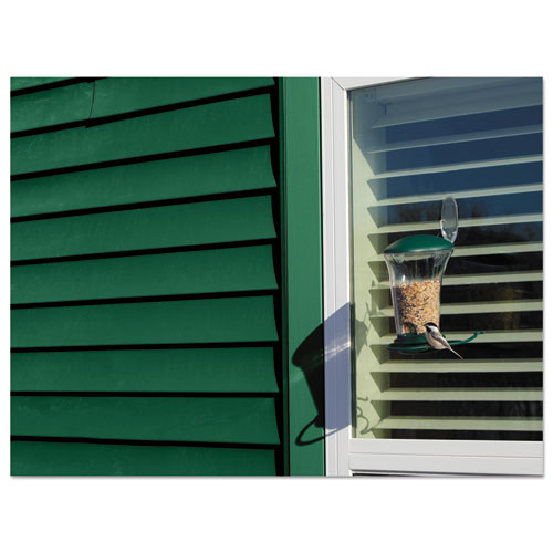 Picture of All Weather Hooks and Strips, Large, Plastic, Clear, 4 lb Capacity, 1 Hook and 2 Strips/Pack