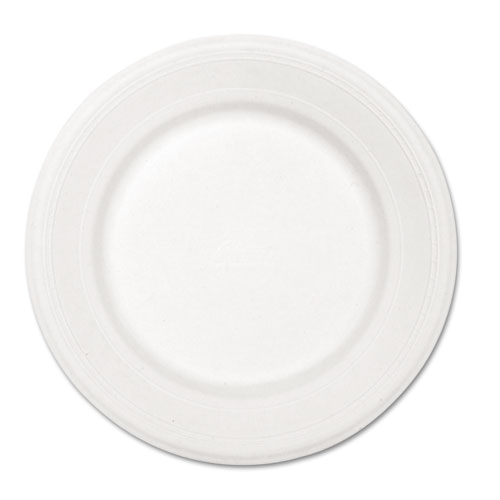 Picture of Paper Dinnerware, Plate, 10.5" dia, White, 500/Carton