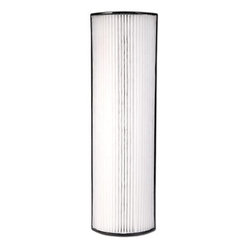 Picture of Therapure Replacement Filter for Therapure 640, 5.25 x 2.75