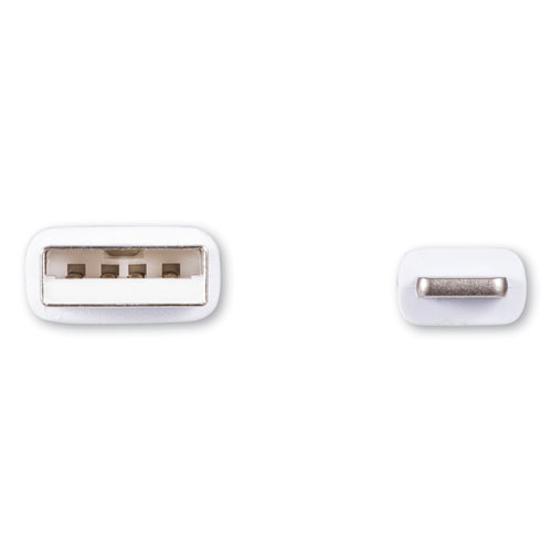 Picture of USB Apple Lightning Cable, 3 ft, White