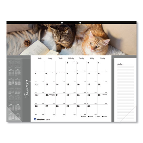 Picture of Pets Collection Monthly Desk Pad, Furry Kittens Photography, 22 x 17, White Sheets, Black Binding, 12-Month (Jan-Dec): 2025