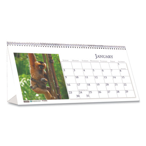 Picture of Recycled Wildlife Photos Desk Tent Monthly Calendar, 8 1/2 x 4 1/2, 2022