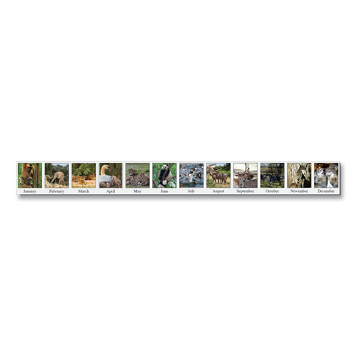 Picture of Recycled Wildlife Photos Desk Tent Monthly Calendar, 8 1/2 x 4 1/2, 2022