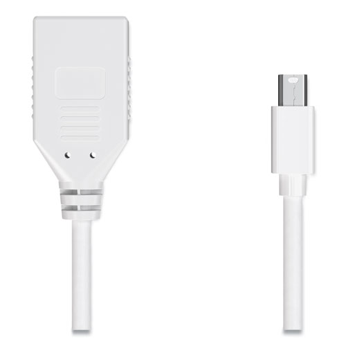 Picture of Mini DisplayPort to DisplayPort Adapter, 6", White