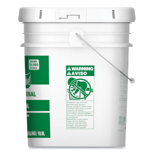 Picture of Professional Dishwashing Liquid, Original Scent, 5 gal Pail