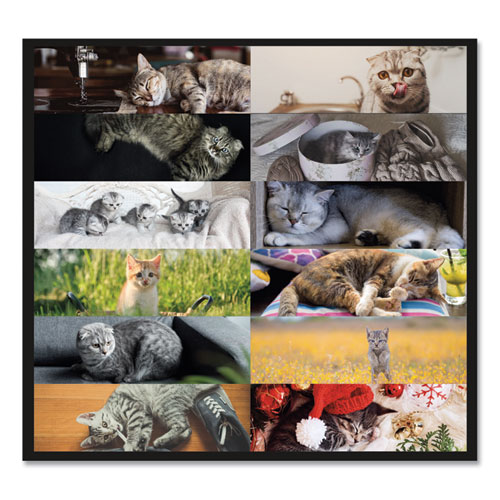 Picture of Pets Collection Monthly Desk Pad, Furry Kittens Photography, 22 x 17, White Sheets, Black Binding, 12-Month (Jan-Dec): 2025