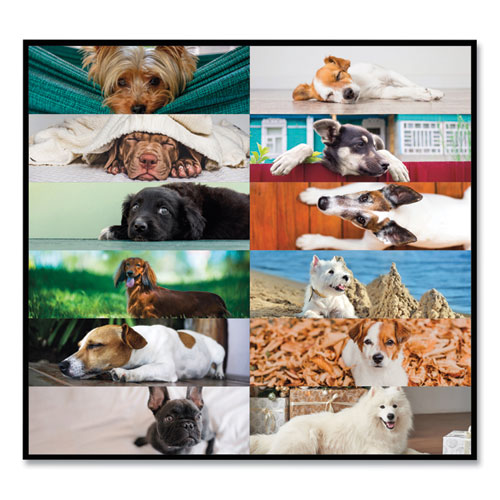 Picture of Pets Collection Monthly Desk Pad, Puppies Photography, 22 x 17, Black Binding, Clear Corners, 12-Month (Jan to Dec): 2025