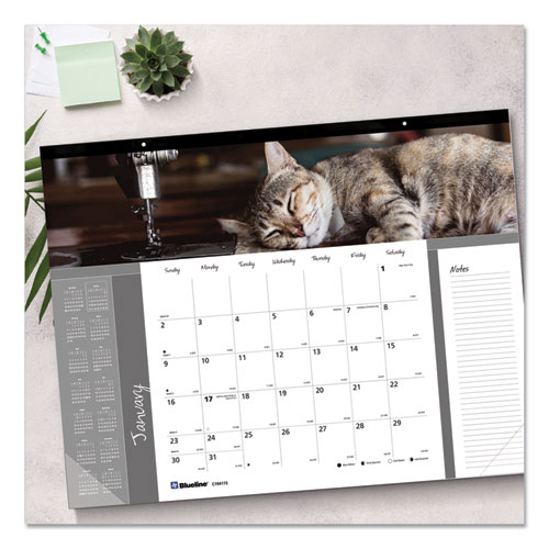 Picture of Pets Collection Monthly Desk Pad, Furry Kittens Photography, 22 x 17, White Sheets, Black Binding, 12-Month (Jan-Dec): 2025