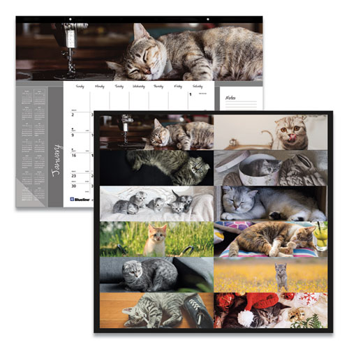 Picture of Pets Collection Monthly Desk Pad, Furry Kittens Photography, 22 x 17, White Sheets, Black Binding, 12-Month (Jan-Dec): 2025