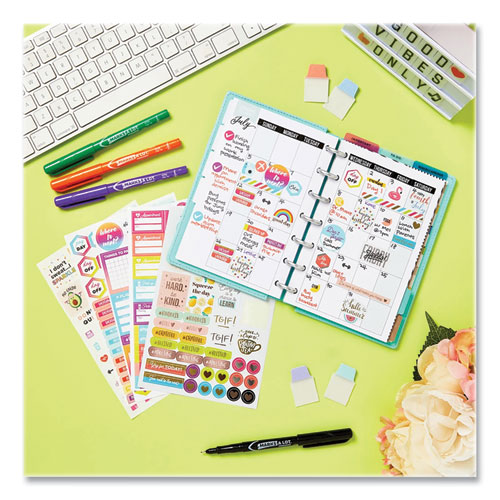 Picture of Planner Sticker Variety Pack, Budget, Fitness, Motivational, Seasonal, Work, Assorted Colors, 1,744/Pack