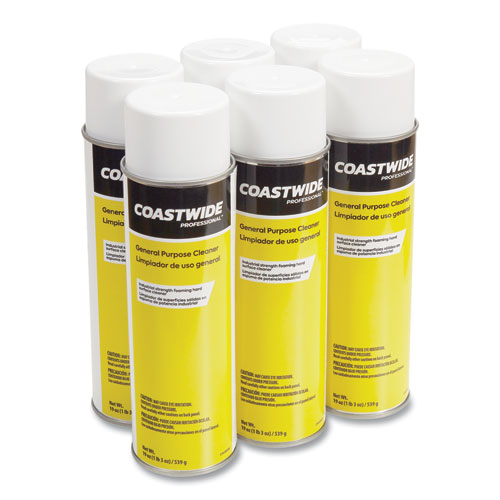 Picture of General Purpose Cleaner, Fresh and Clean Scent, 19 oz Aerosol Spray, 6/Carton