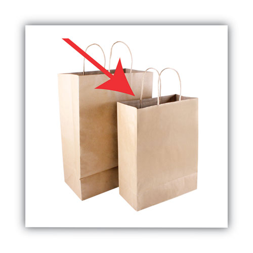 Picture of Premium Shopping Bag, Natural Twisted-Paper Handles, 10" x 4.5" x 13", Brown, 50/Box