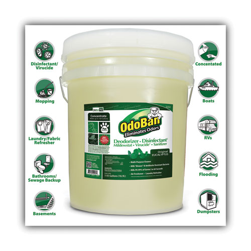 Picture of Concentrated Odor Eliminator and Disinfectant, Eucalyptus, 5 gal Pail