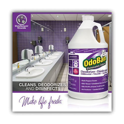 Picture of Concentrate Odor Eliminator and Disinfectant, Lavender Scent, 1 gal Bottle, 4/Carton