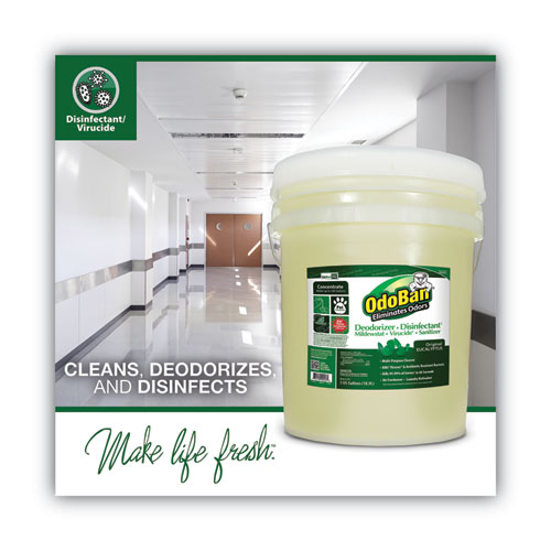 Picture of Concentrated Odor Eliminator and Disinfectant, Eucalyptus, 5 gal Pail