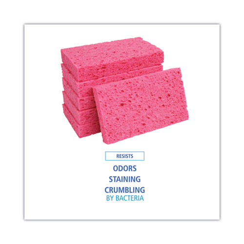 Picture of Small Cellulose Sponge, 3.6 x 6.5, 0.9" Thick, Pink, 2/Pack, 24 Packs/Carton