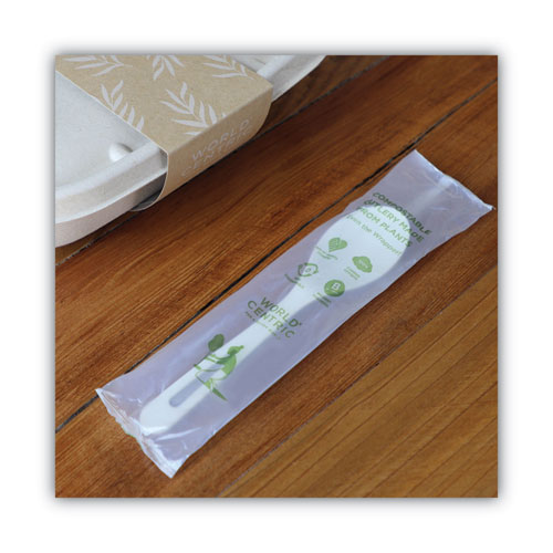 Picture of TPLA Compostable Cutlery, Spoon, 6", White, 750/Carton