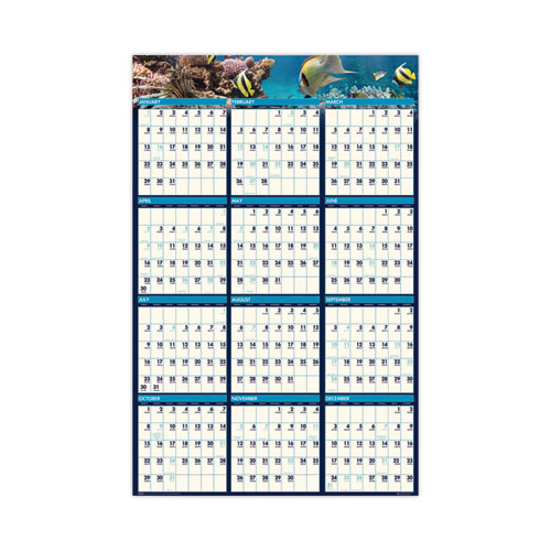 Earthscapes Recycled Reversible/erasable Yearly Wall Calendar, Sea Life Photos, 24 X 37, White Sheets, 12-Month(jan-Dec):2022