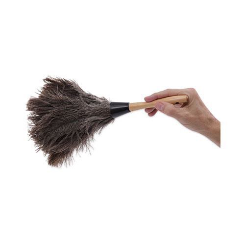 Picture of Professional Ostrich Feather Duster, 4" Handle