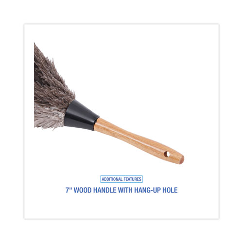 Picture of Professional Ostrich Feather Duster, 7" Wood Handle