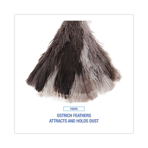 Picture of Professional Ostrich Feather Duster, 7" Wood Handle