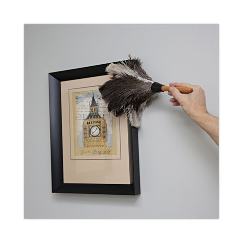 Picture of Professional Ostrich Feather Duster, 7" Wood Handle