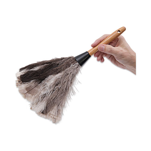 Picture of Professional Ostrich Feather Duster, 7" Wood Handle