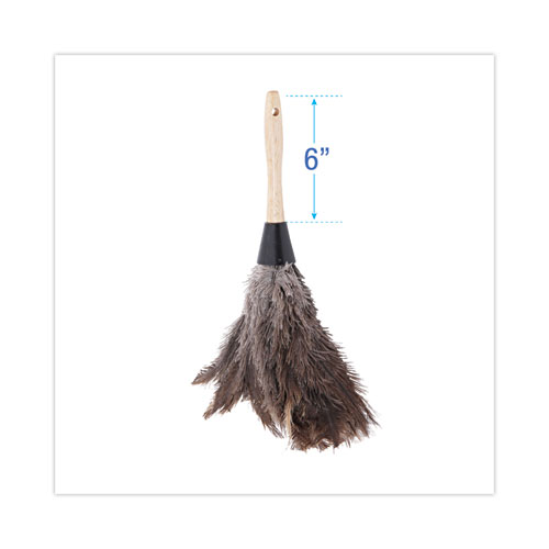 Picture of Professional Ostrich Feather Duster, 6" Wood Handle