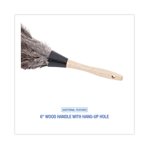 Picture of Professional Ostrich Feather Duster, 6" Wood Handle