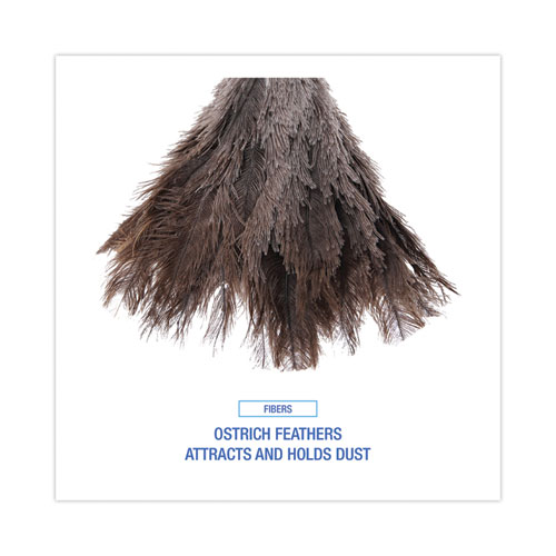 Picture of Professional Ostrich Feather Duster, 6" Wood Handle