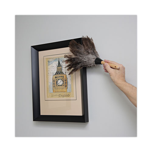 Picture of Professional Ostrich Feather Duster, 6" Wood Handle