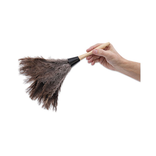 Picture of Professional Ostrich Feather Duster, 6" Wood Handle