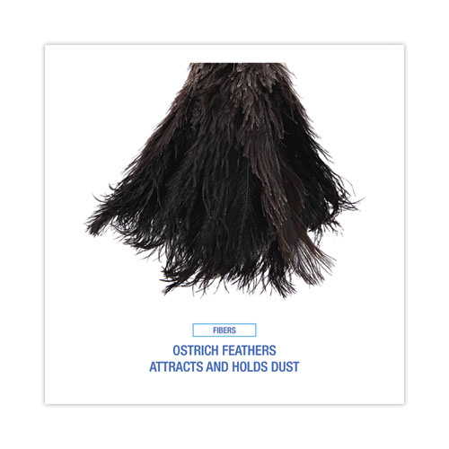 Picture of Professional Ostrich Feather Duster, 10" Wood Handle