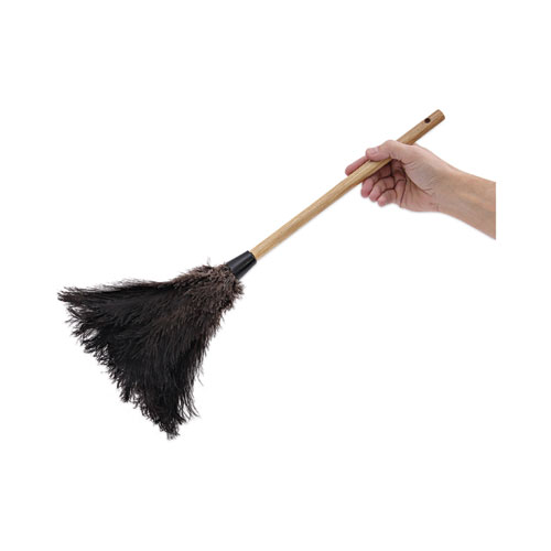 Picture of Professional Ostrich Feather Duster, 10" Wood Handle