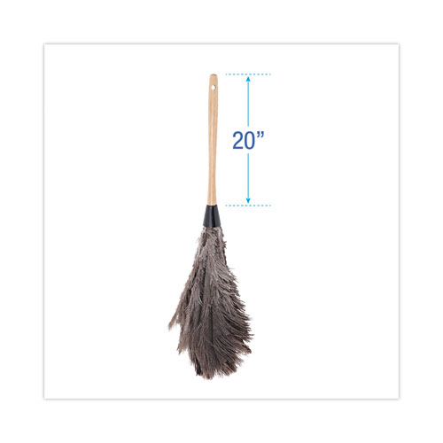 Picture of Professional Ostrich Feather Duster, 20" Wood Handle