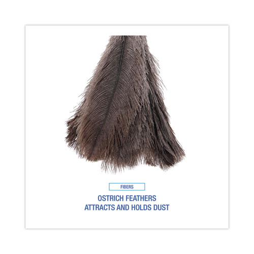 Picture of Professional Ostrich Feather Duster, 20" Wood Handle