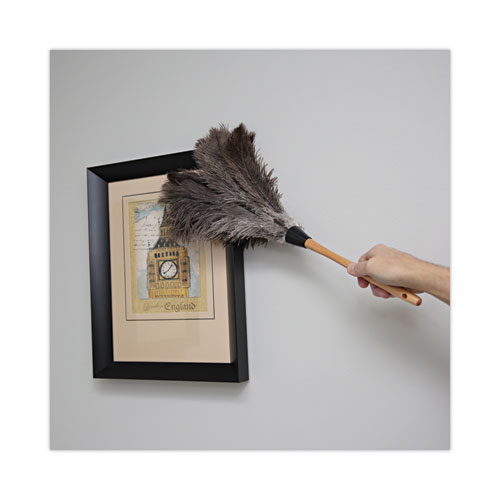 Picture of Professional Ostrich Feather Duster, 20" Wood Handle