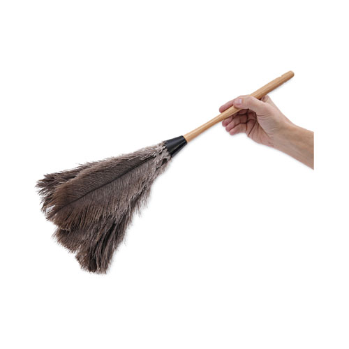 Picture of Professional Ostrich Feather Duster, 20" Wood Handle